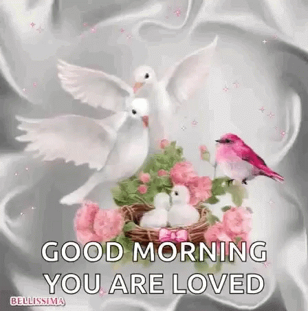 Beautiful Good Morning Love Bird