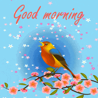 Best Good Morning Bird