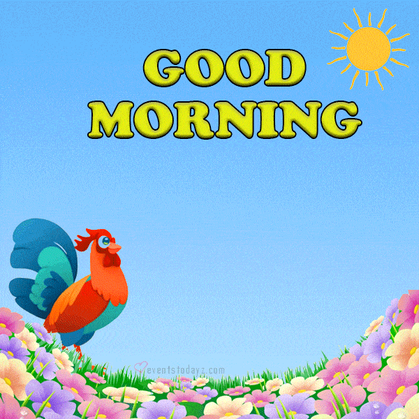 Bird Good Morning Gif