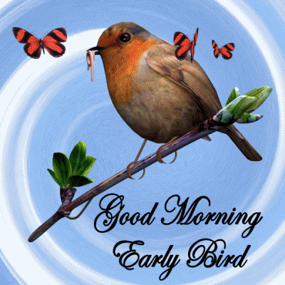 Good Morning Beautiful Bird With Butterfly Gif