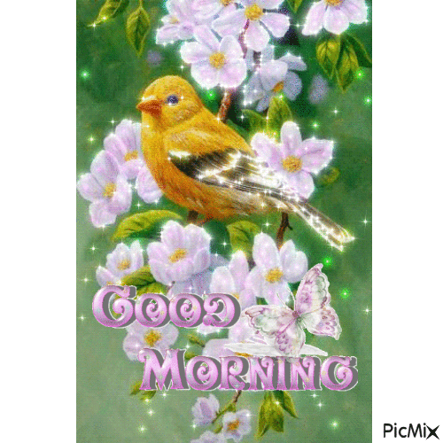 Good Morning Beautiful Bird With Flower Gif