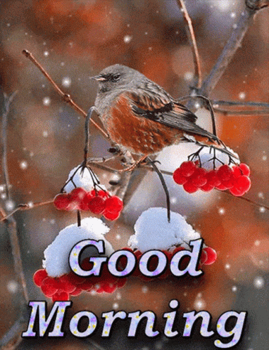 Good Morning Beautiful Bird Red Flower Gif