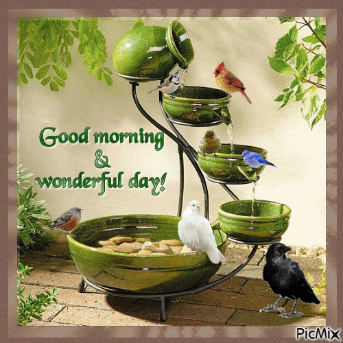 Good Morning Bird On Fountain