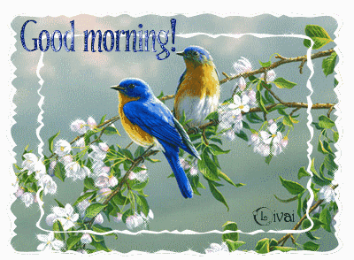 Good Morning Blue Bird
