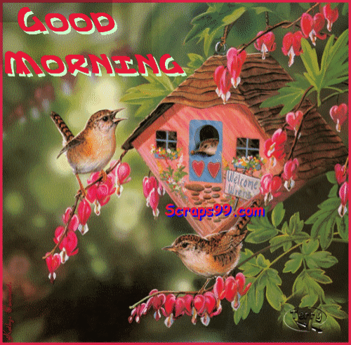 Good Morning Three Bird
