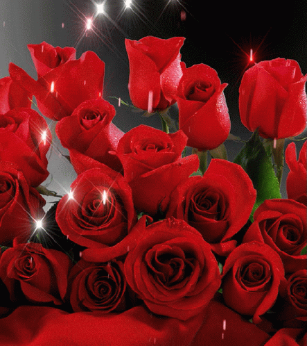 Good Morning With Awesome Red Roses
