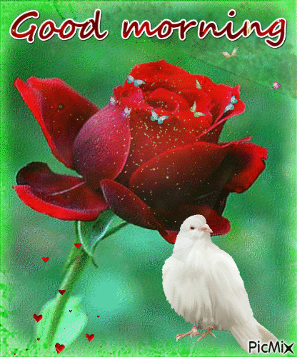 Good Morning With Flowers And Bird