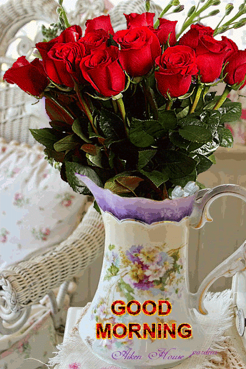 Good Morning With Roses