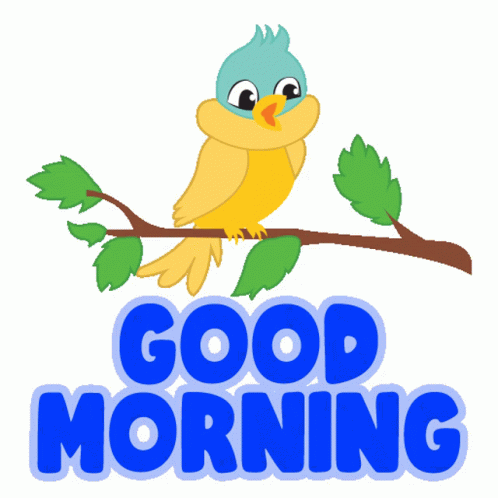 Good Morning Yellow Bird
