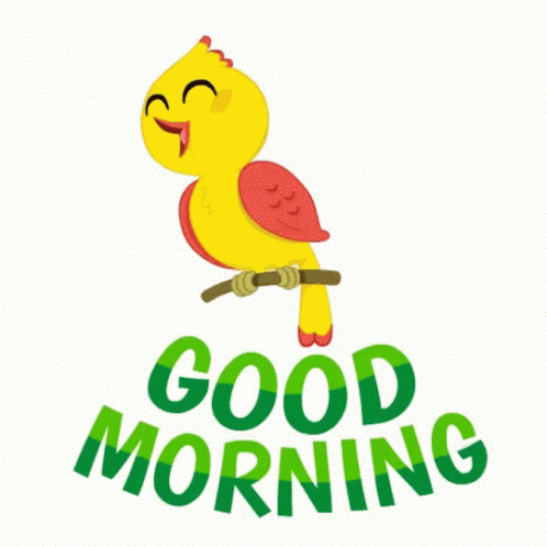 Good Morning Yellow Birdie Singing Gif