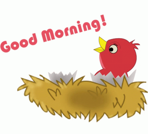 Wonderful Good Morning Red Bird