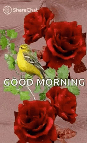 Good Morning Bird Flower