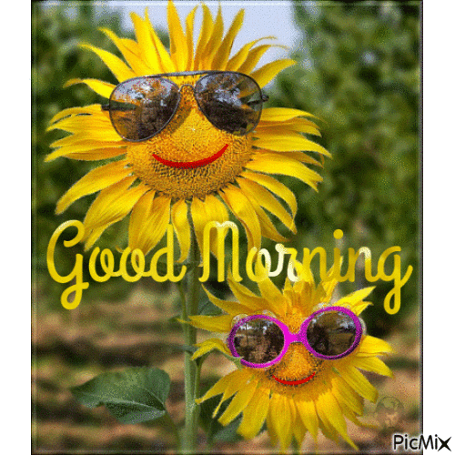 Good Morning Adorable Sunflower