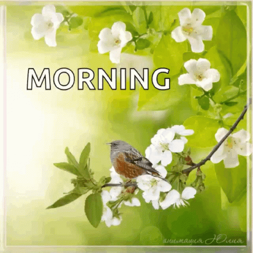 Good Morning Birds On Branches