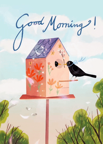Good Morning Black Bird