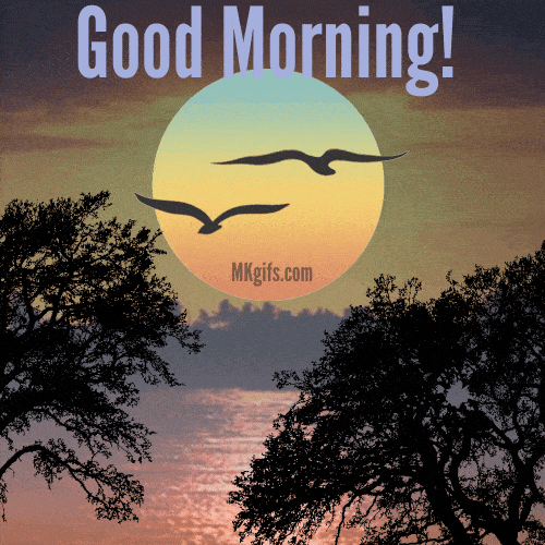 Good Morning Flying Birds
