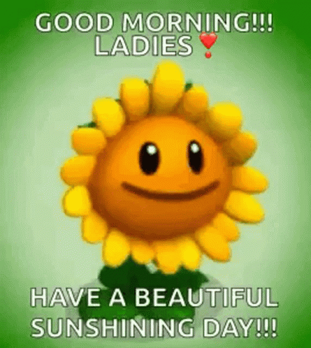 Good Morning Have A Beautiful Sunshine Day