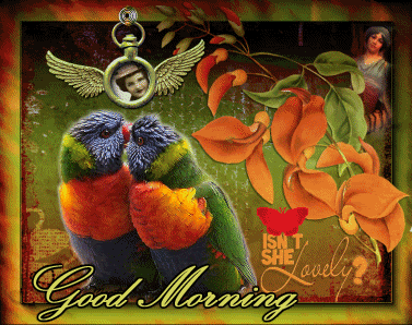 Good Morning Love Birds