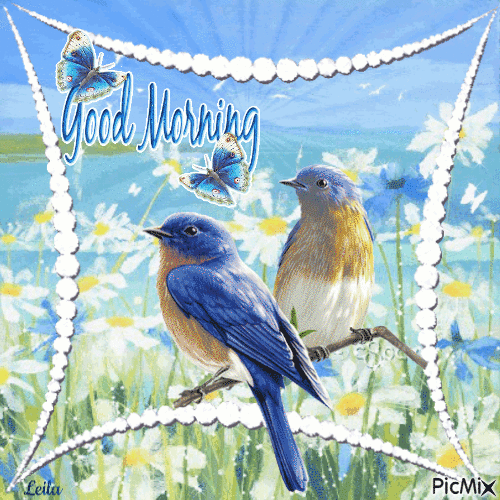 Good Morning Marvelous Birds