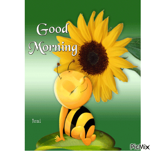 Good Morning Sunflower Awesome Day