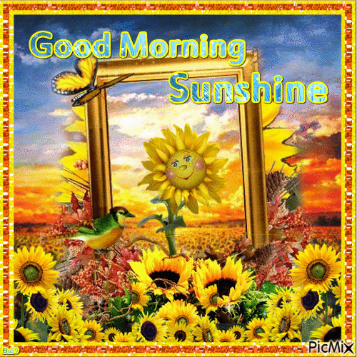 Good Morning Sunflower Sunshine