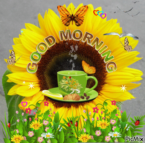 Good Morning Sunflower With Coffee