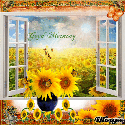 Good Morning Sunflowers