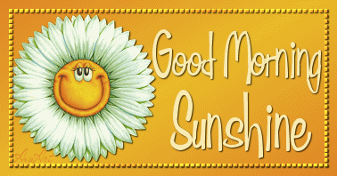 Good Morning Sunshine Sunflower