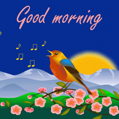 Good Morning With Bird