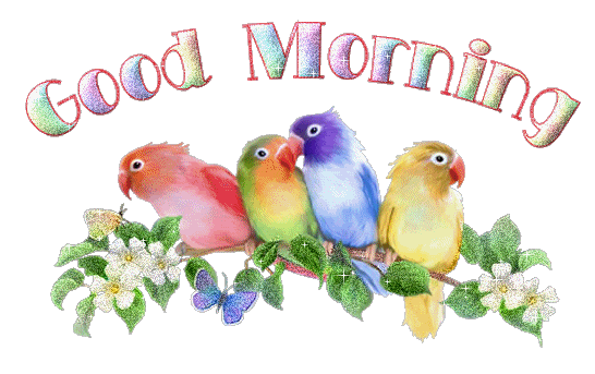 Good Morning With Colorful Birds