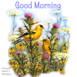 Good Morning With Glittering Bird
