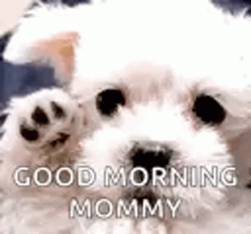 Mommy Good Morning