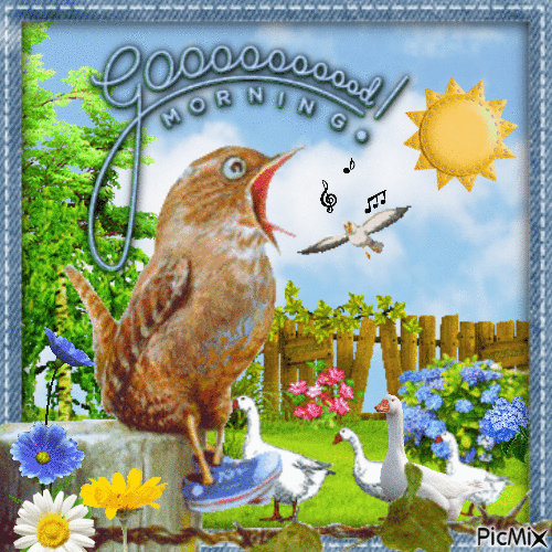 Singing Bird Good Morning