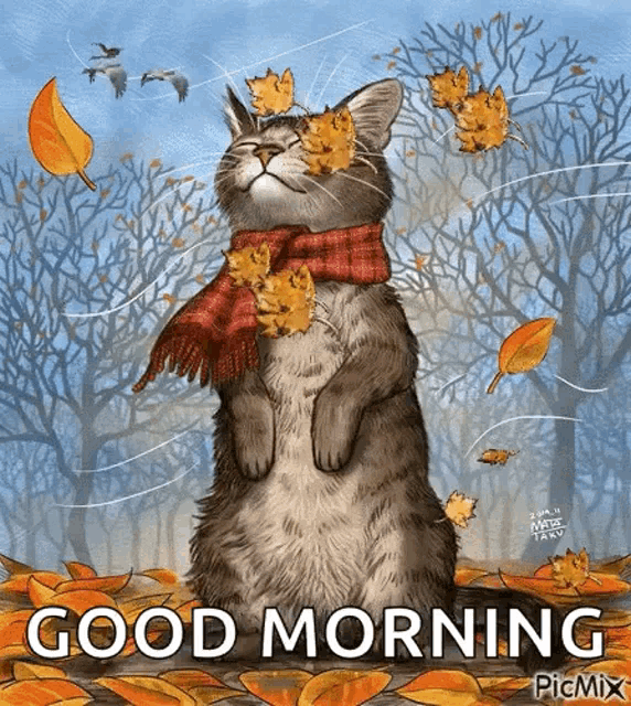 Good Morning Autumn Cat