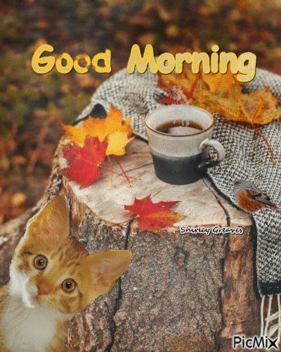 Have A Lovely Morning With Autumn