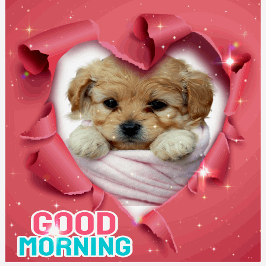 Good Morning Puppy Have A Good Day