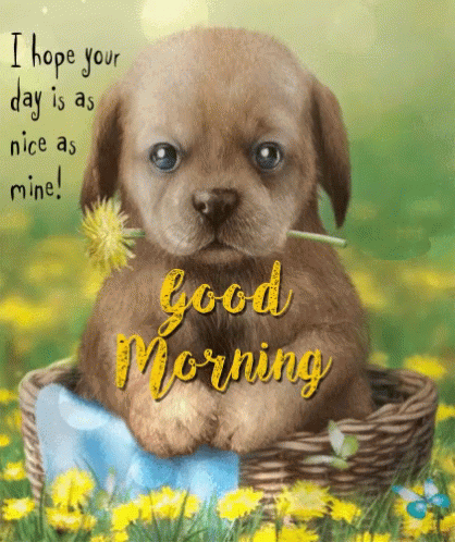 Good Morning Puppy I Hope Your Day Is As Nice And Mine