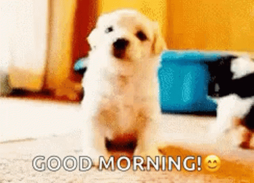 Good Morning Puppy Have A Nice Day