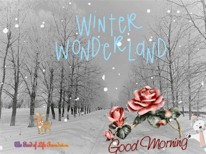 Winter Wonderland Have A Great Good Morning