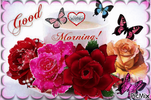 Good Morning Beautiful Roses