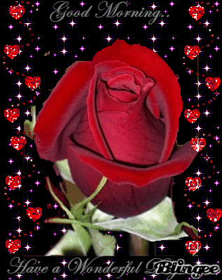 Good Morning Have A Wonderful Day Rose