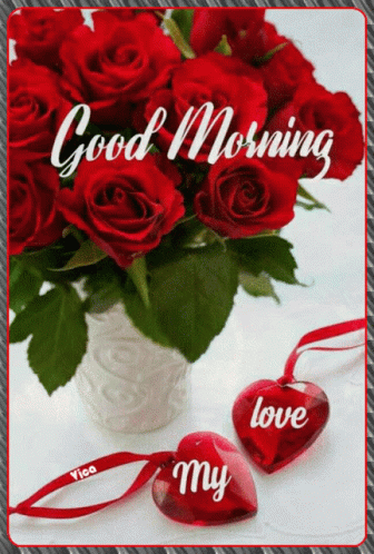 Good Morning My Love Have A Awsome Day Rose