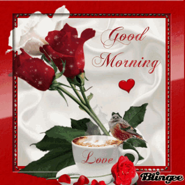Good Morning Rose Have A Fantastic Day