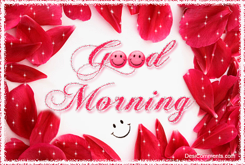 Good Morning Rose Have A Have A Lovely Day Gif