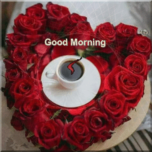 Good Morning Rose Have A Lovely Day