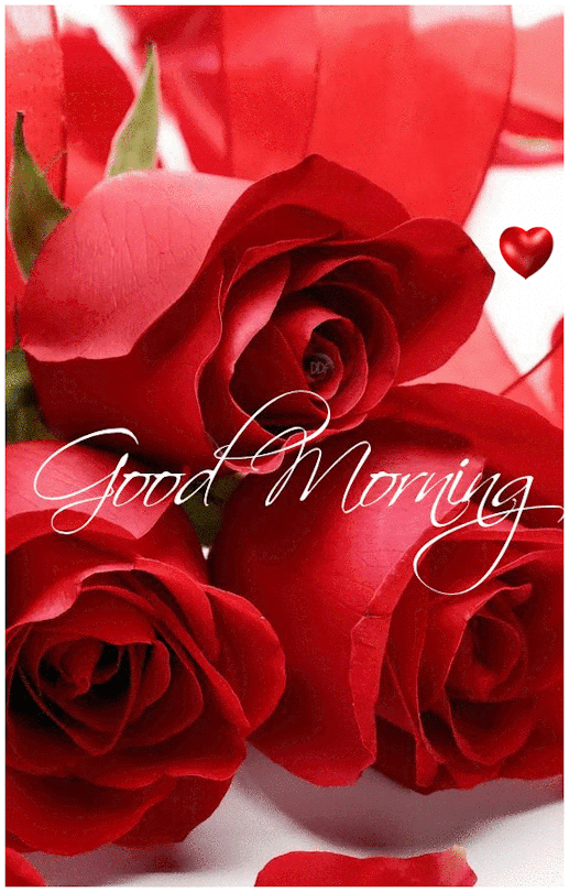 Good Morning Rose With Beautiful Heart