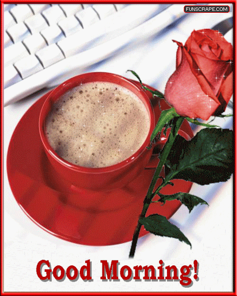 Rose Have Beautiful Good Morning With A Cup Of Tea